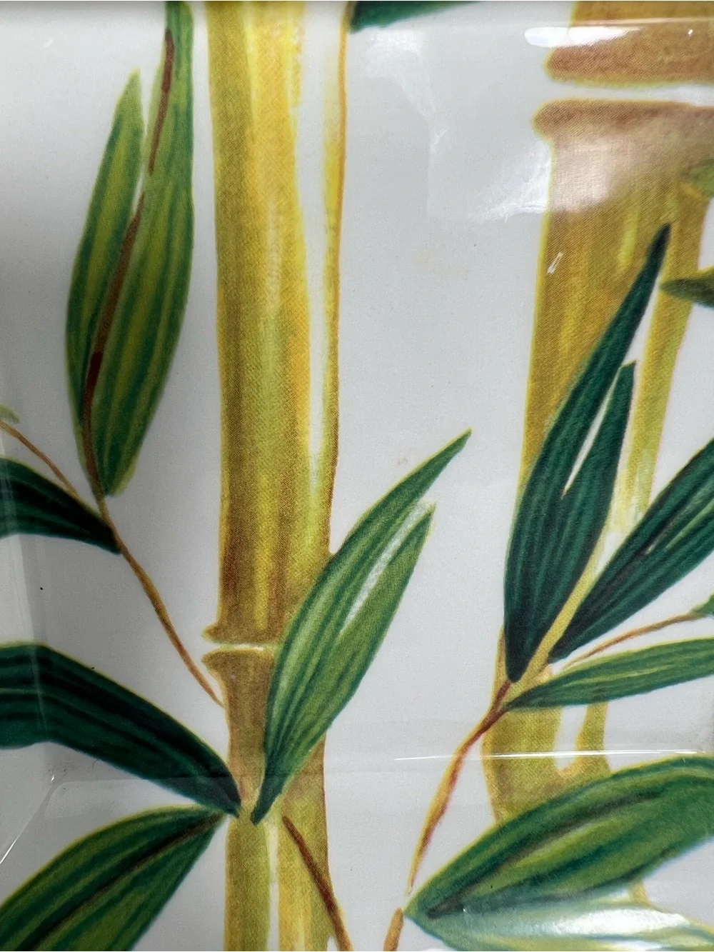 Made in Italy Ceramic Bamboo Botanical Square Serving Plate 6”